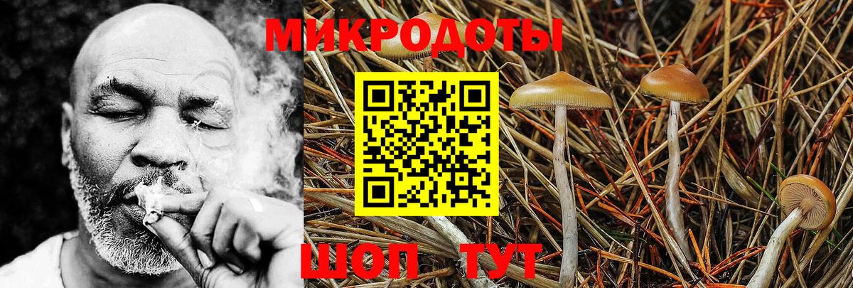 Псилоцибиновые грибы прущие грибы  Вход с VPN  Гулькевичи  Галлюциногенные грибы мицелий 